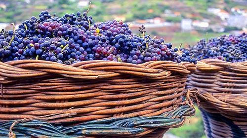 Vino de Madeira