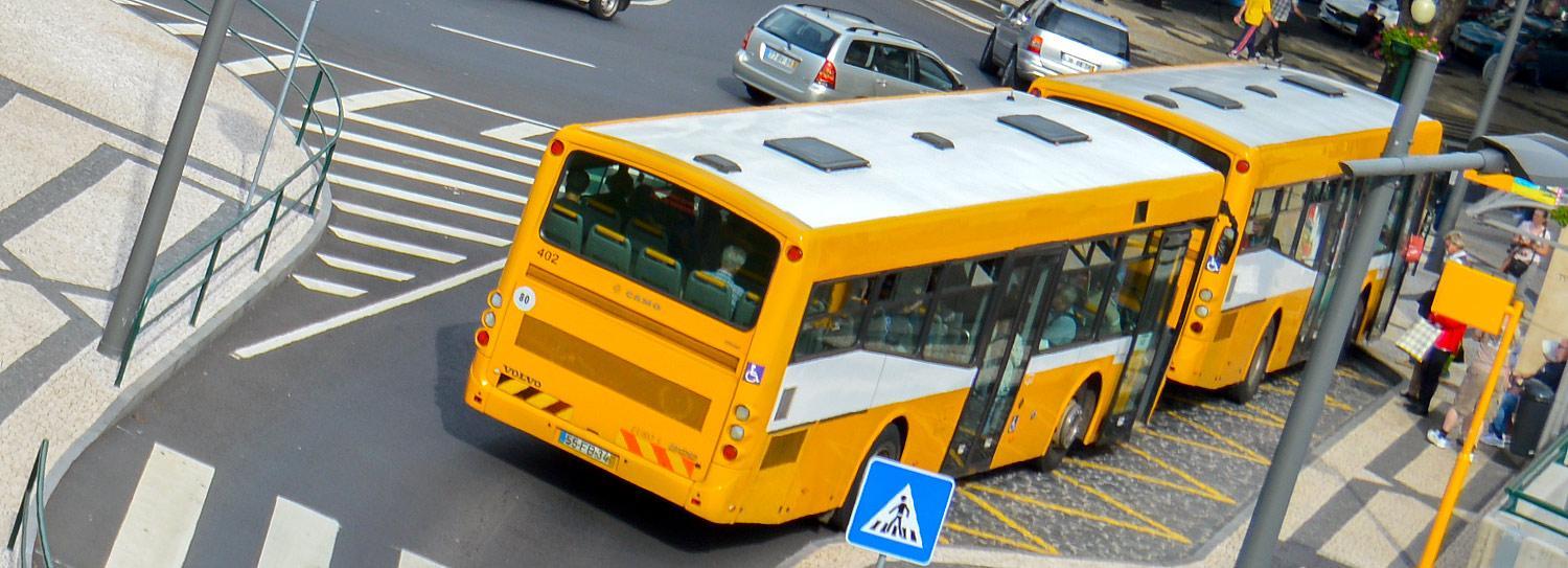 Madeira Public Bus Transport